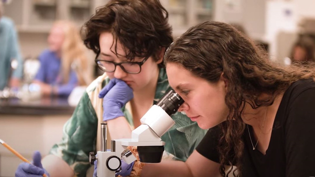 See the Innovative Designer standard in action in this YouTube playlist.